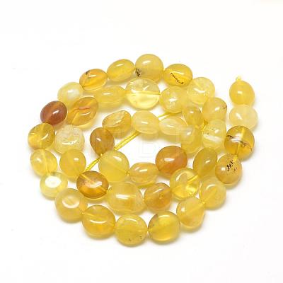 Natural Yellow Opal Beads Strands G-R445-8x10-06-1