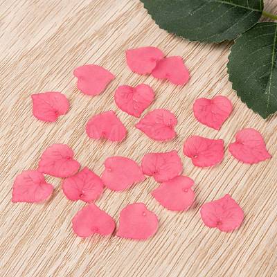 Transparent Acrylic Pendants PL591-3-1