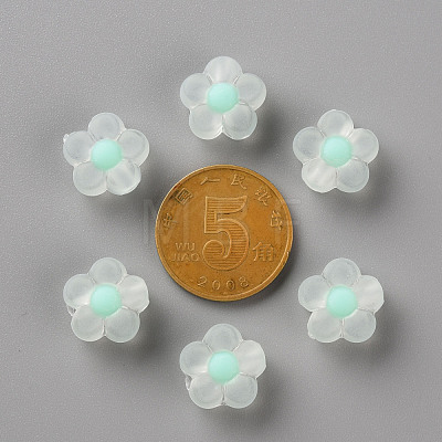 Transparent Acrylic Beads TACR-S152-06C-SS2111-1
