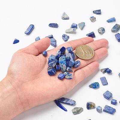 Natural Lapis Lazuli Beads G-F710-09-1