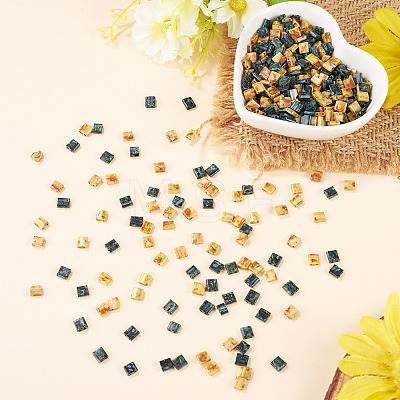 50G 2 Colors 2-Hole Baking Paint Glass Seed Beads SEED-TA0001-70-1