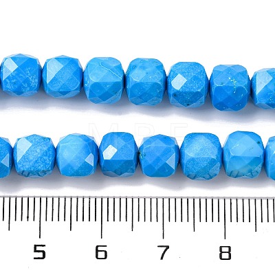 Natural Howlite Beads Strands G-G001-B03-04-1