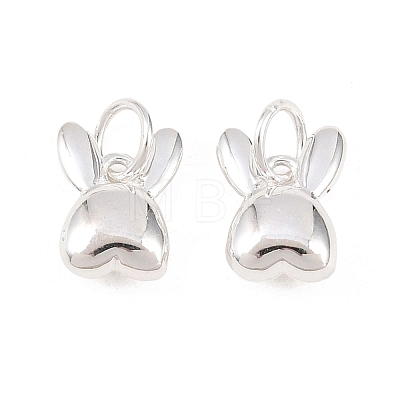 925 Sterling Silver Charms STER-I024-02S-1