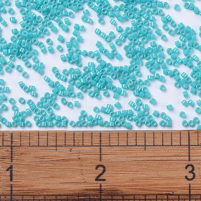 MIYUKI Delica Beads SEED-J020-DB0658-1