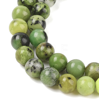 Natural Serpentine Beads Strands G-G829-06-10mm-1