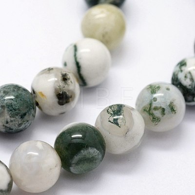 Natural Tree Agate Beads Strands X-G-I199-03-6mm-1
