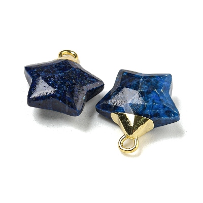 Natural Lapis Lazuli Pendants G-P540-01G-04-1