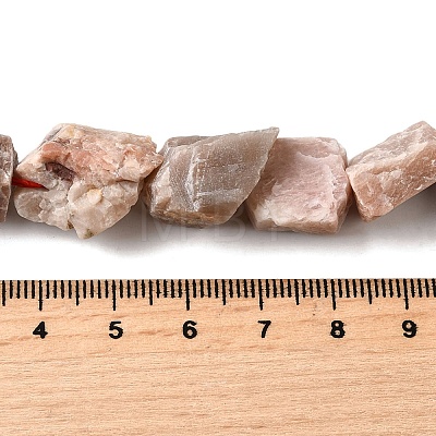 Natural Sunstone Beads Strands G-S386-C01-1
