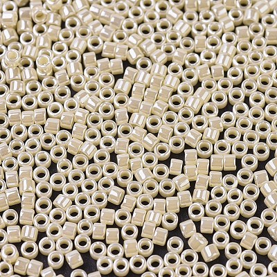 MIYUKI Delica Beads X-SEED-J020-DB1560-1