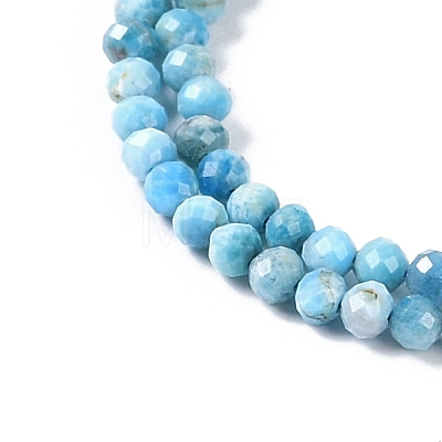 Natural Apatite Beads Strands G-P542-A07-02-1