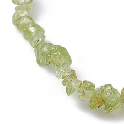 Natural Olive Jade Chips Beaded Stretch Bracelets for Women BJEW-JB10046-02-1