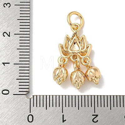 Brass Pendants KK-K378-10G-1