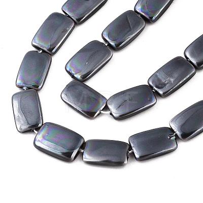 Electroplate Natural Freshwater Shell Beads Strands SHEL-R049-027E-1