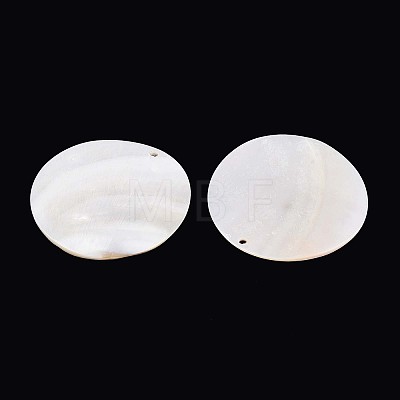 Natural Freshwater Shell Big Pendants SHEL-T020-47B-1