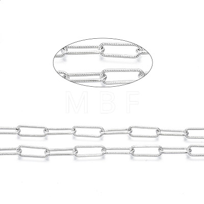 Unwelded Iron Paperclip Chains CH-S125-17A-02-1