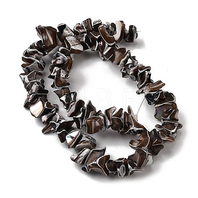Natural Trochid Shell/Trochus Shell Beads Strands SHEL-B003-02M-1