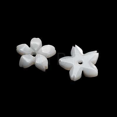 Natural White Shell Beads SH-CBA93AD-08-1
