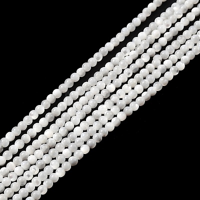 Natural White Shell Beads G-N0190-11-2mm-1