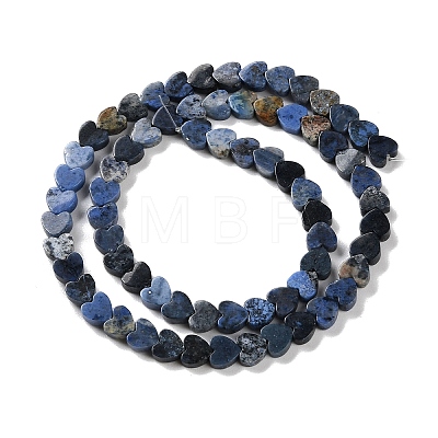 Natural Sodalite Beads Strands G-M403-A08-02-1