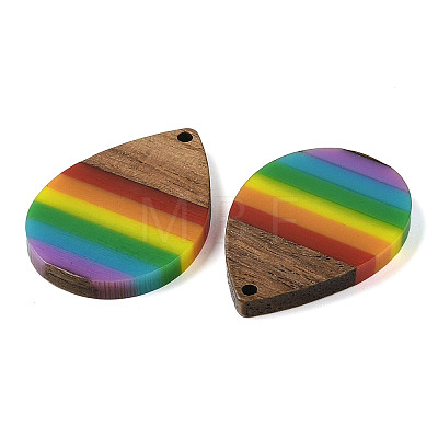 Pride Rainbow Theme Resin & Walnut Wood Pendants WOOD-K012-09B-1