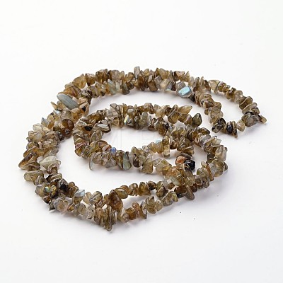 Natural Labradorite Chips Beads Strands LS-F069-1