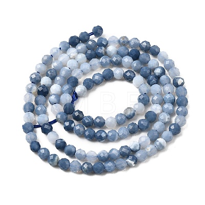 Natural Blue Opal Beads Strands G-P603-C-3mm-04-1