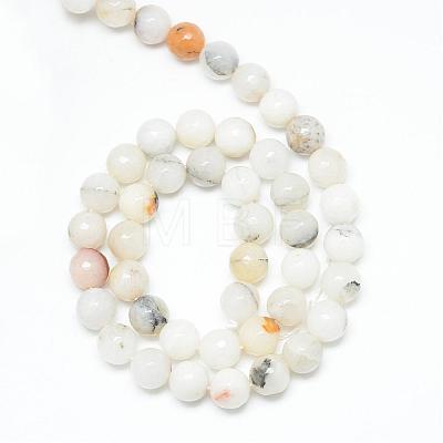 Natural Agate Bead Strands G-R346-6mm-26-1