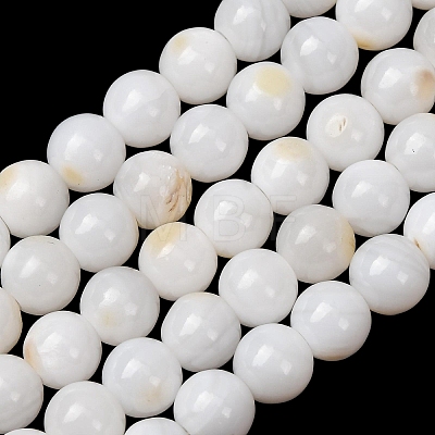 Natural Freshwater Shell Beads Strands SH-CBA2978-07D-04-1
