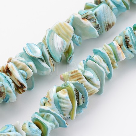 Natural Shell Bead Strands X-BSHE-P010-04-1