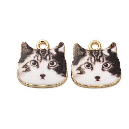 Alloy Enamel Pendants ENAM-V002-04G-02-1