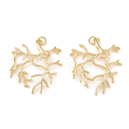 Brass Pendants KK-L255-01G-01-1