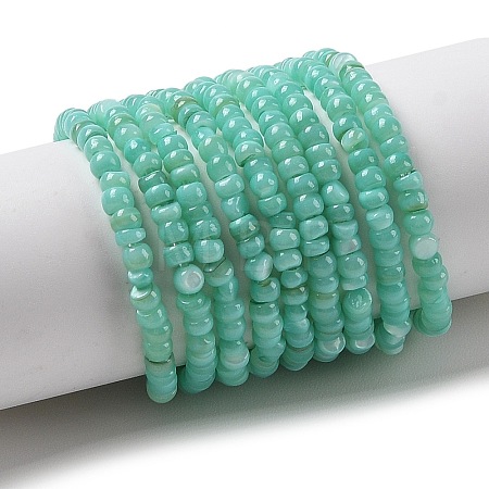 Natural Freshwater Shell Beads Strands SHEL-P017-01B-08-1
