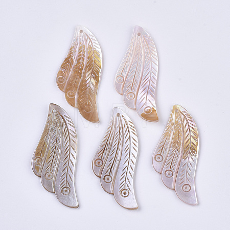 Freshwater Shell Big Pendants X-SHEL-T016-07-1
