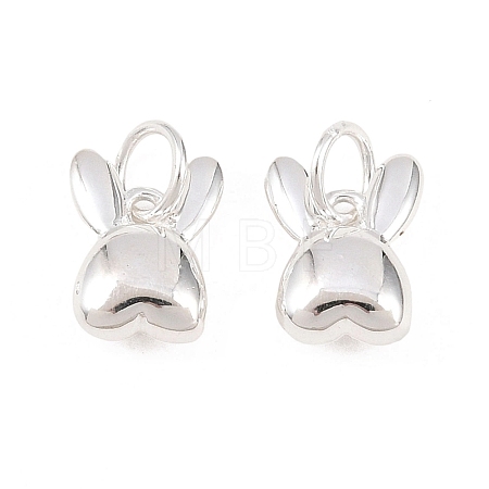 925 Sterling Silver Charms STER-I024-02S-1