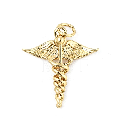 Brass Pendants KK-P300-21G-1