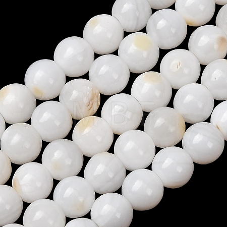 Natural Freshwater Shell Beads Strands SH-CBA2978-07D-04-1