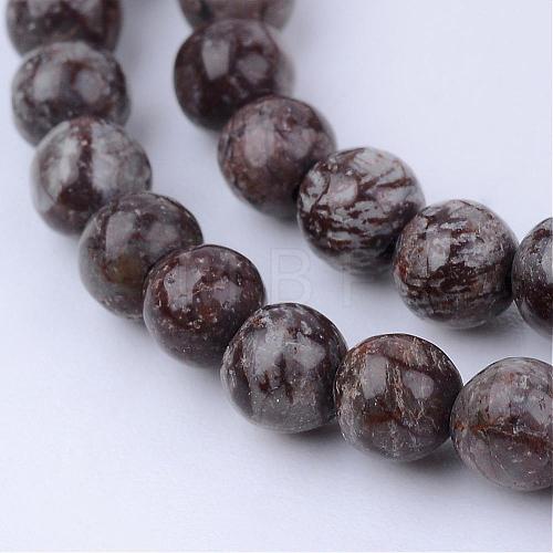 Natural Snowflake Obsidian Beads Strands G-Q462-8mm-37-1