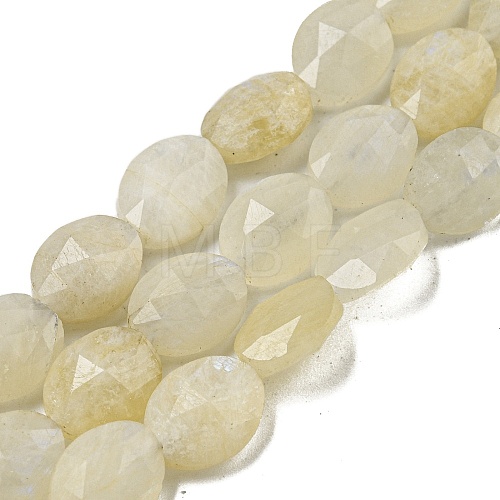 Natural Rainbow Moonstone Beads Strands G-P544-D03-01-1