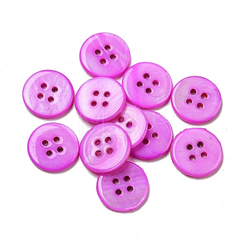 Freshwater Shell Buttons SHEL-C005-02E-1