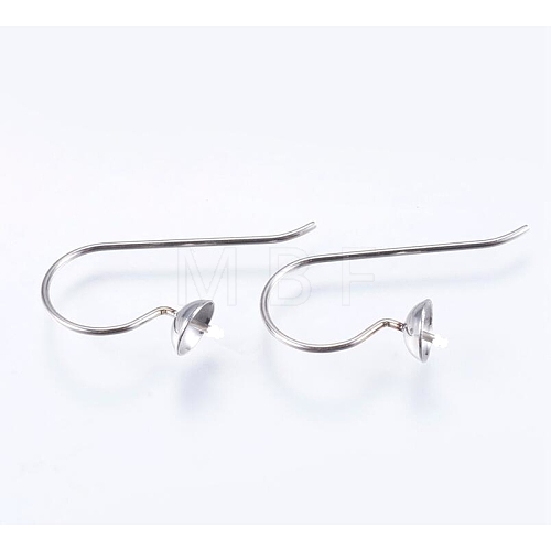 304 Stainless Steel Earring Hooks STAS-I069-41-1