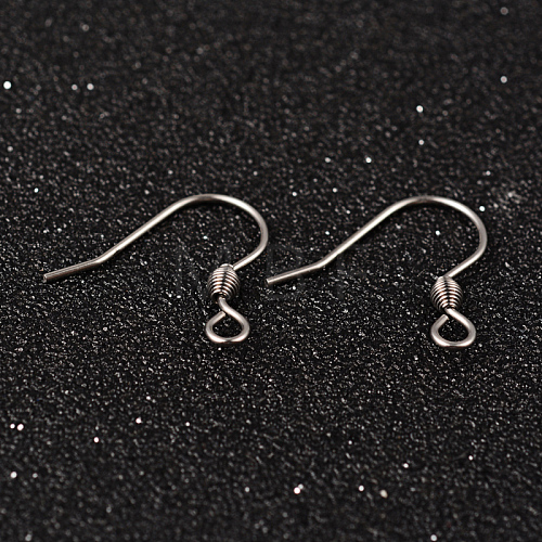 304 Stainless Steel Earring Hook Jewelry Findings STAS-M248-03-1