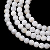 Natural Freshwater Shell Beads Strands SH-CBA2978-07D-01-2