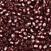 Silver Lined Glass Seed Beads SEED-T007-18A-13-3