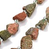Natural Unakite Beads Strands GG-CBA0B77-A16-03-2