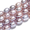 Natural Cultured Freshwater Pearl Beads Strands PEAR-N012-05T-4