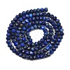 Dyed Natural Lapis Lazuli Beads Strands G-K376-B05-02-3