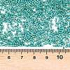 MIYUKI Delica Beads X-SEED-J020-DB2506-3