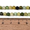 Natural Serpentine Beads Strands G-Q616-07A-5