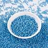 MIYUKI Round Rocailles Beads SEED-G008-RR0573-2