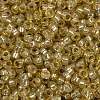 MIYUKI Round Rocailles Beads SEED-G009-RR0578-3